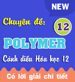 Polymer (CD)